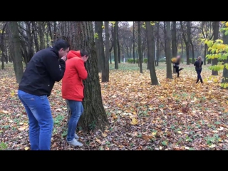 autumn prank © video